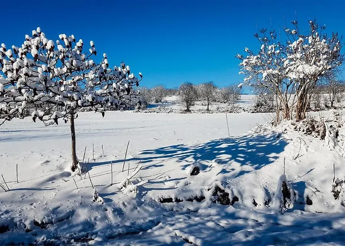 Les Terres D'en Innimond